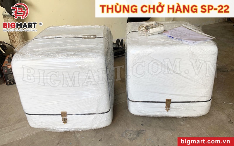 Thùng chở hàng sau xe máy SP-22