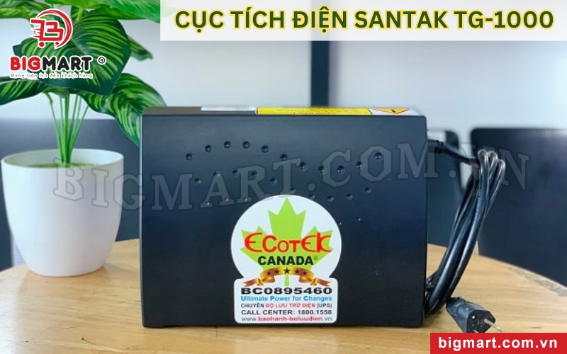 Cục tích điện Santak TG-1000