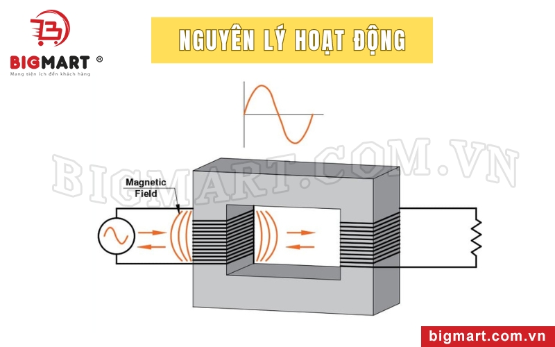 Nguyên lý hoạt động