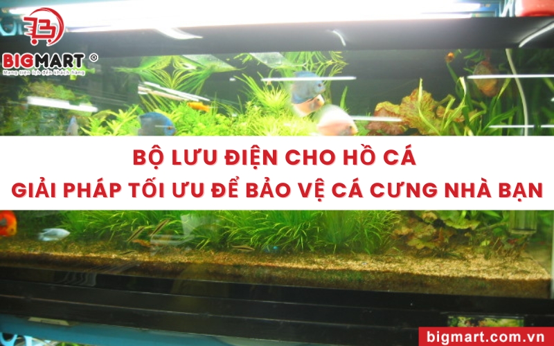 Bộ lưu điện UPS cho hồ cá