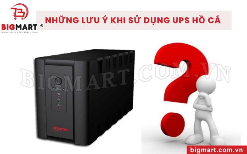 Những lưu ý khi sử dụng UPS hồ cá