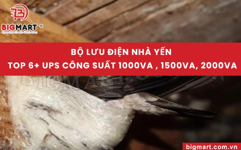 Bộ lưu điện nhà yến