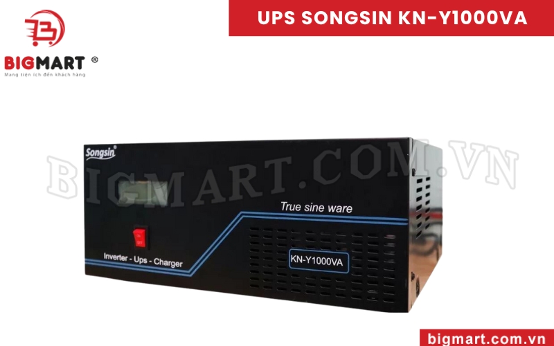 UPS SongSin KN-Y1000VA