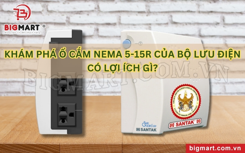 Khám phá ổ cắm NEMA 5-15R của bộ lưu điện