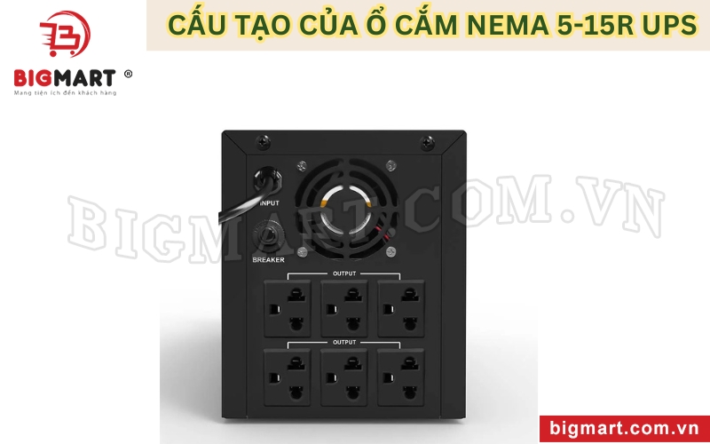 Cấu tạo ổ cắm NEMA 5-15R