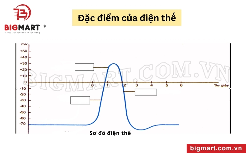 Điện thế thay đổi liên tục theo thời gian