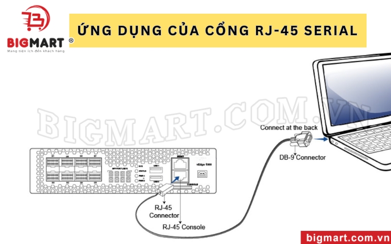 RJ-45 Serial là cổng giao tiếp được sử dụng rộng rãi