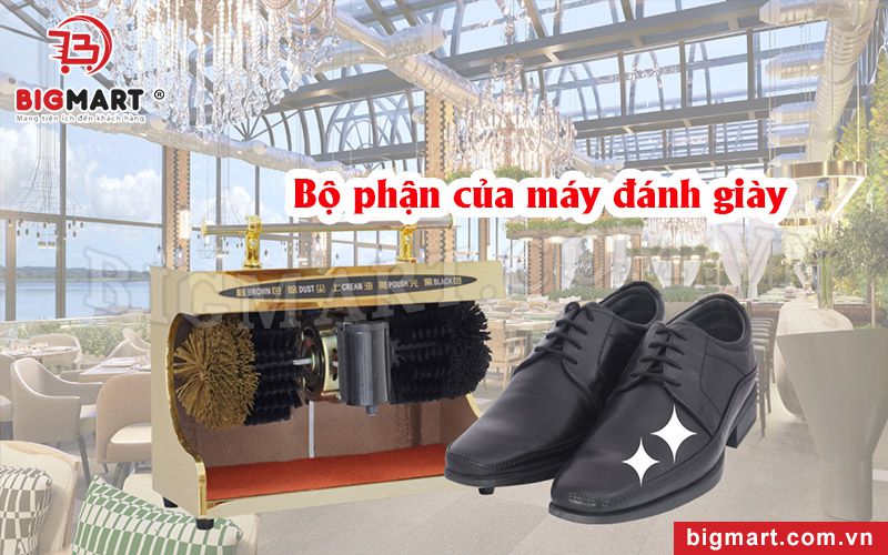 Bộ phận máy đánh giày