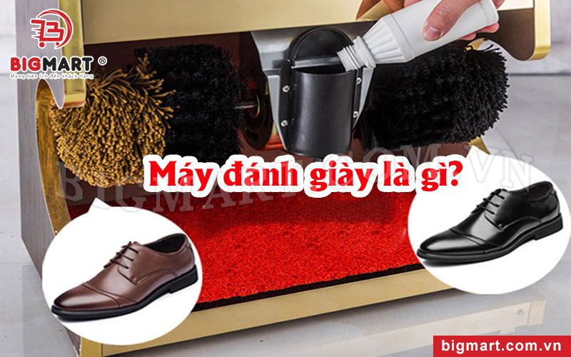 Máy đánh giày nhà hàng giá rẻ là gì?