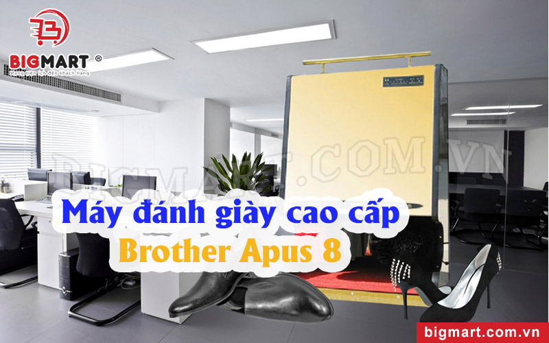 Máy đánh giày cao cấp bán chạy Brother Apus A8