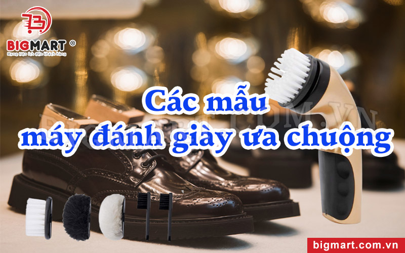 Các mẫu máy đánh giày tại Biên Hòa được ưa chuộng nhất