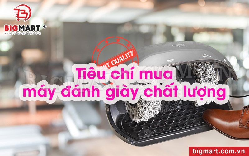 Tiêu chí mua máy đánh giày chất lượng