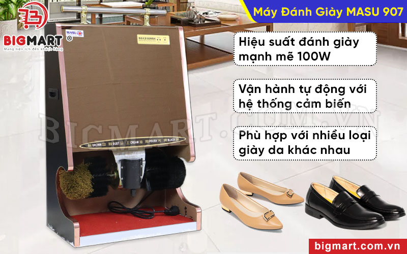 Máy đánh giày công suất 100W