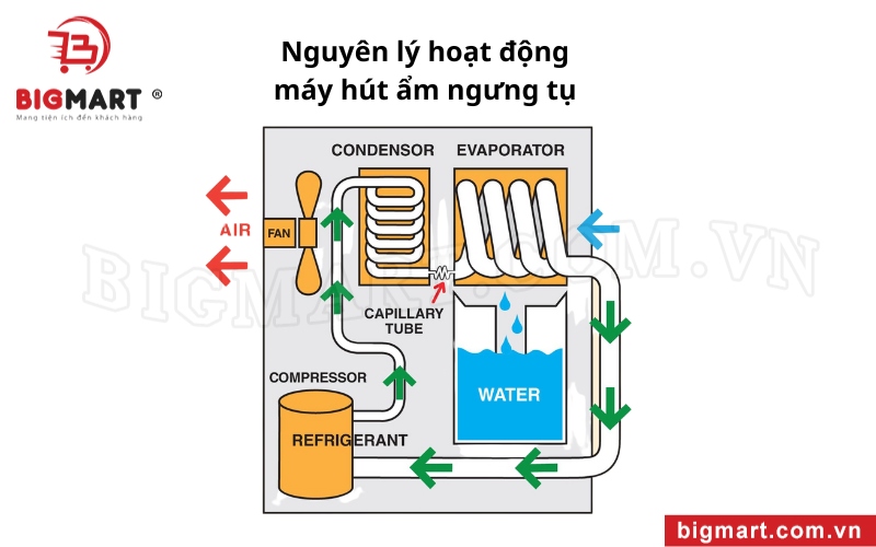 Nguyên lý hoạt động máy hút ẩm ngưng tụ