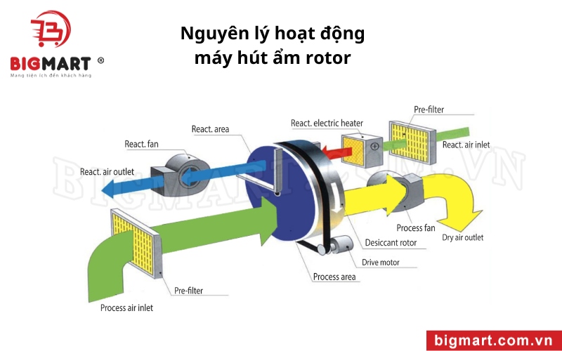 Nguyên lý hoạt động máy hút ẩm rotor