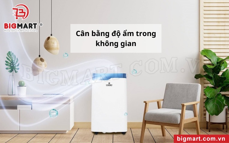 Cân bằng độ ẩm không gian sống