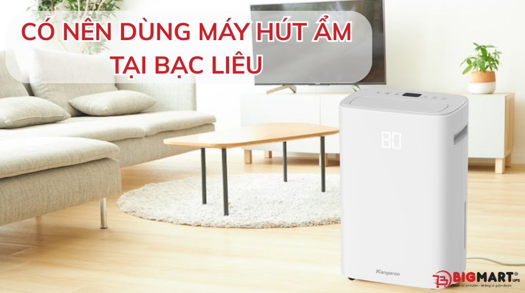 Có nên sử dụng máy hút ẩm tại Bạc Liêu?
