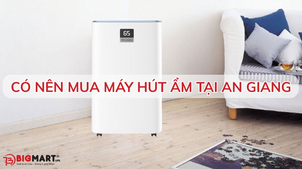 Có nên mua máy hút ẩm tại An Giang?