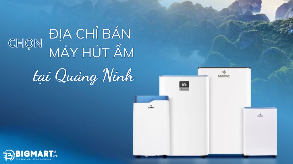 Chọn địa chỉ bán máy hút ẩm uy tín ở Quảng Ninh
