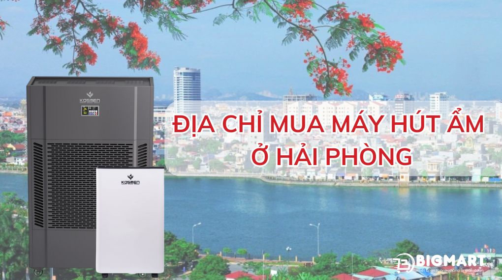 địa chỉ mua máy hút ẩm ở Hải Phòng