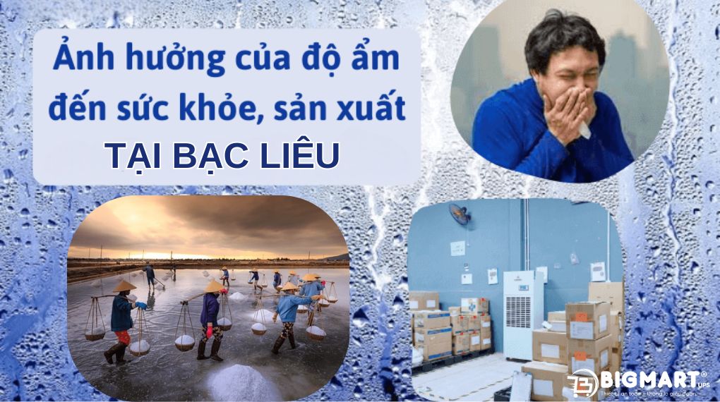 Độ ẩm cao gây ảnh hưởng gì đến đời sống và sản xuất tại Bạc Liêu?
