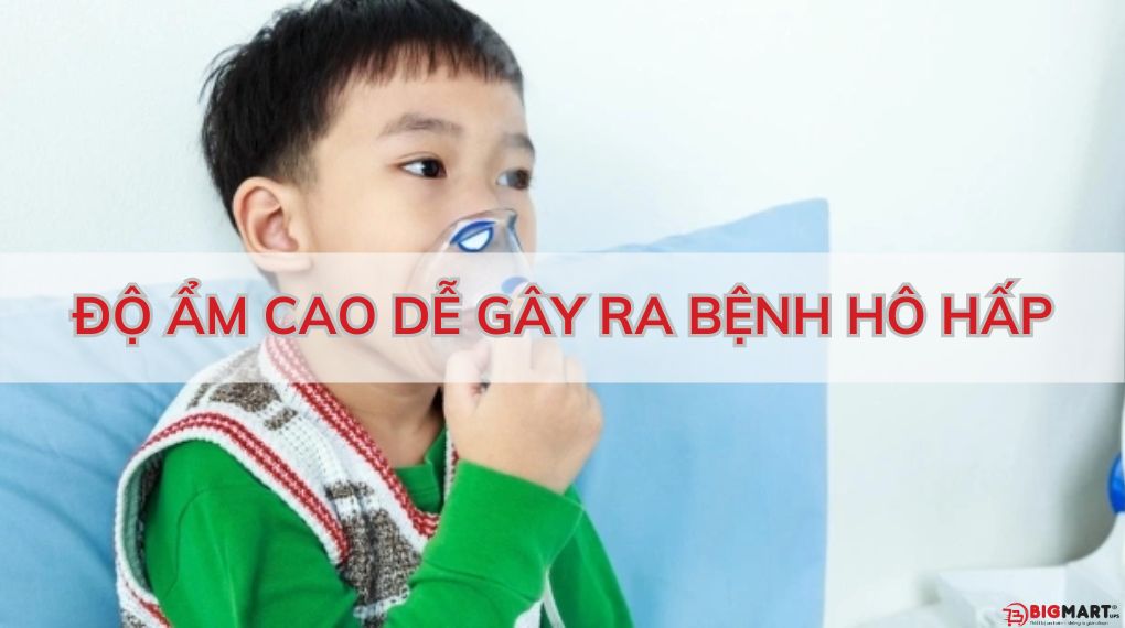 độ ẩm cao gây ra bệnh hô hấp