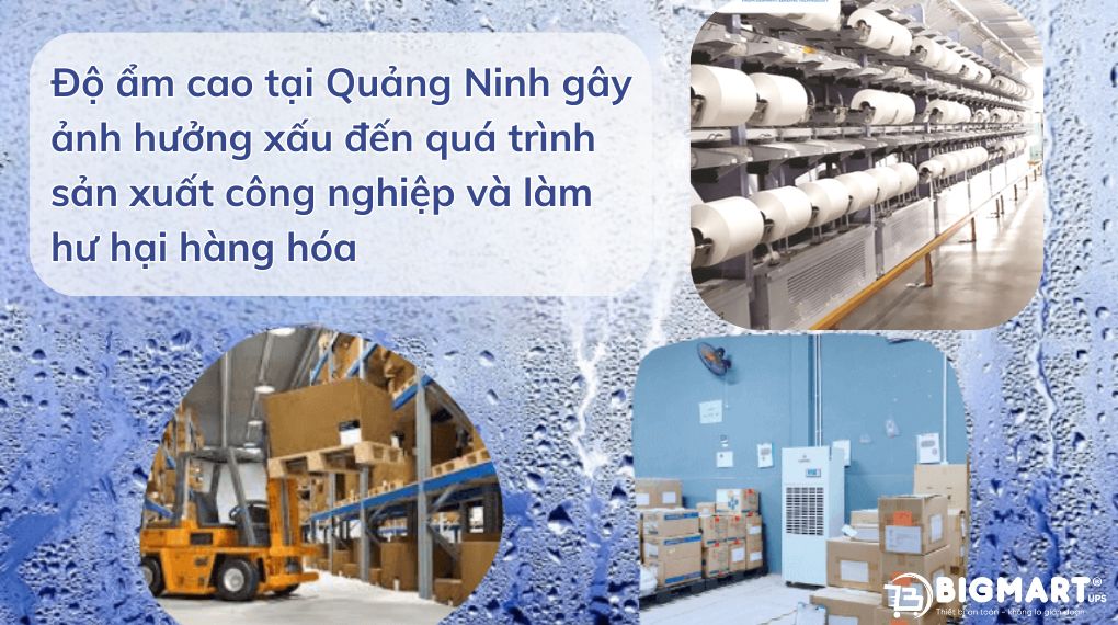 Độ ẩm cao tại Quảng Ninh gây ảnh hưởng đến công nghiệp
