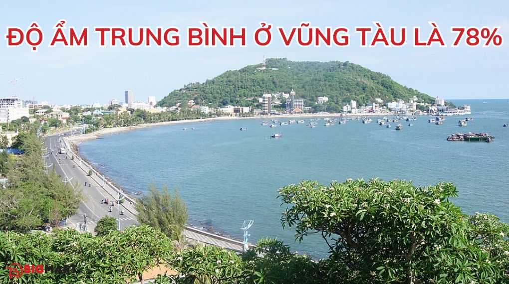 độ ẩm cao tại vũng tàu