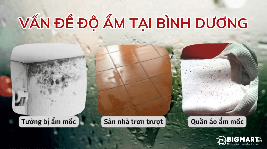độ ẩm tại bình dương