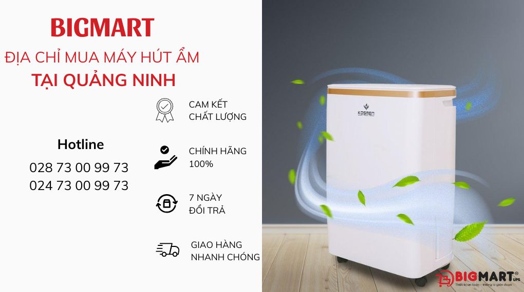 BIGMART-đơn vị cung cấp máy hút ẩm tại Quảng Ninh chính hãng 100%