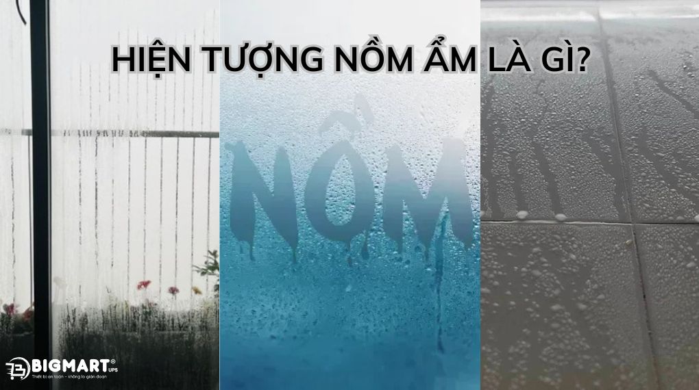 Hiện tượng nồm ẩm là gì?
