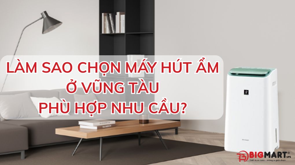 Mua máy hút ẩm tại Bà Rịa - Vũng Tàu theo nhu cầu