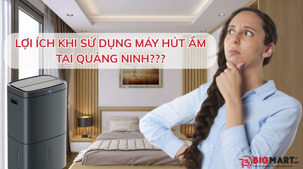 Lợi ích khi dùng máy hút ẩm tại Quảng Ninh