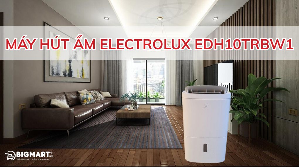 Máy hút ẩm Electrolux EDH10TRBW1