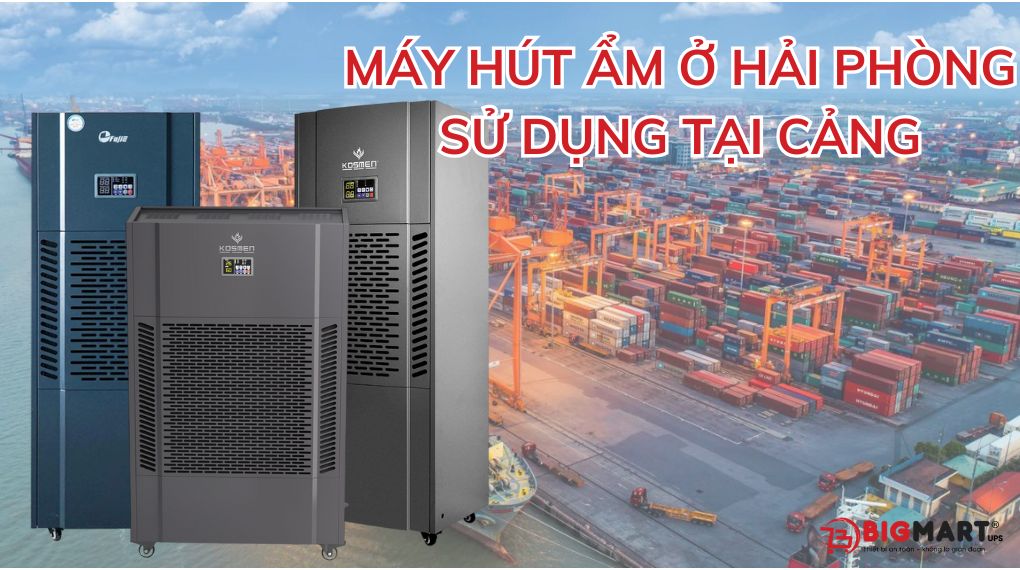 máy hút ẩm ở Hải Phòng sử dụng tại cảng
