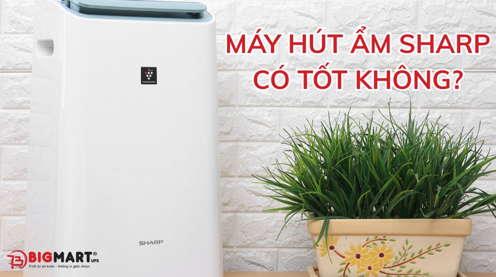 máy hút ẩm sharp hút ẩm mạnh mẽ