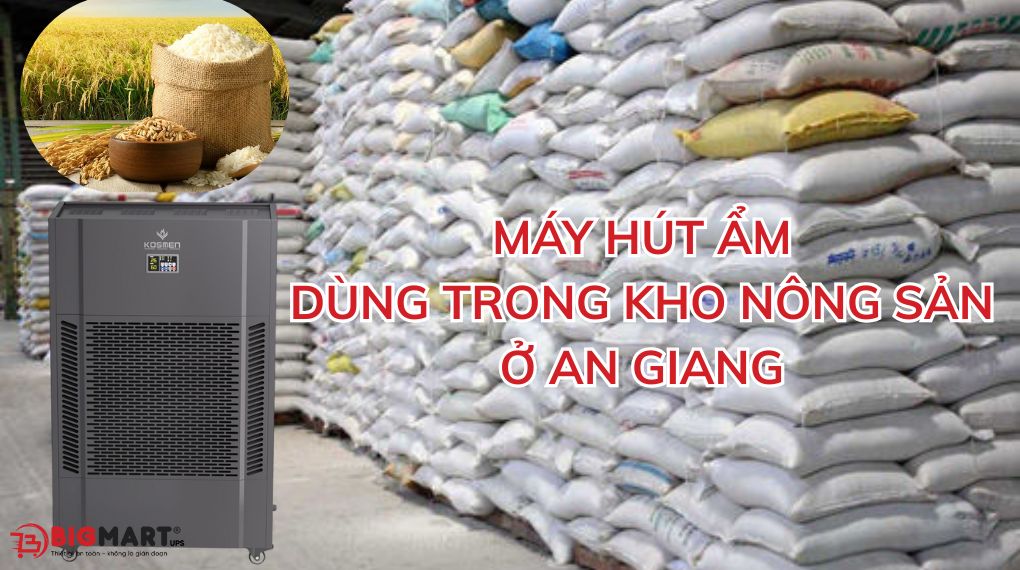 Máy hút ẩm dùng trong kho nông sản tại An Giang