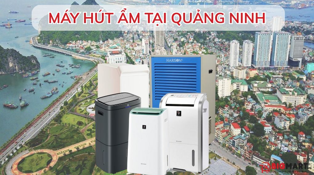 máy hút ẩm tại Quảng Ninh