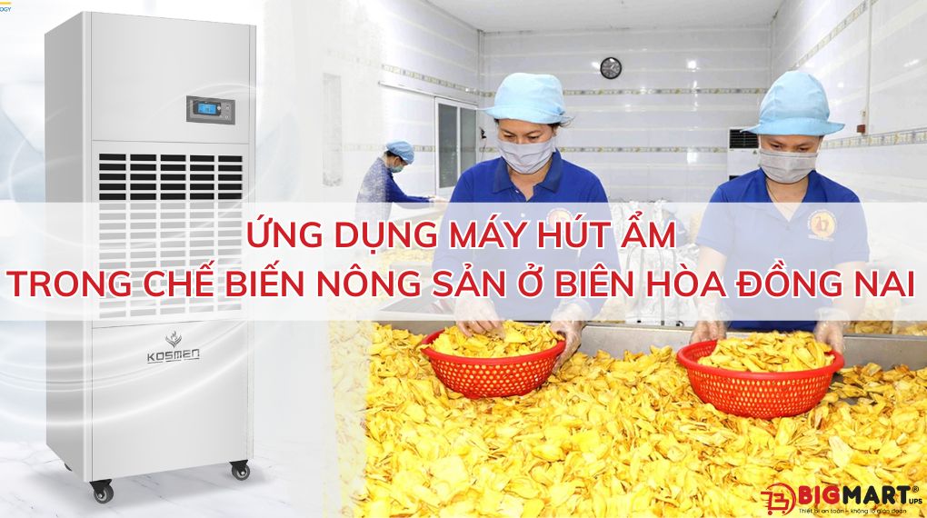 Ứng dụng máy hút ẩm trong chế biến nông sản tại Biên Hòa - Đồng Nai
