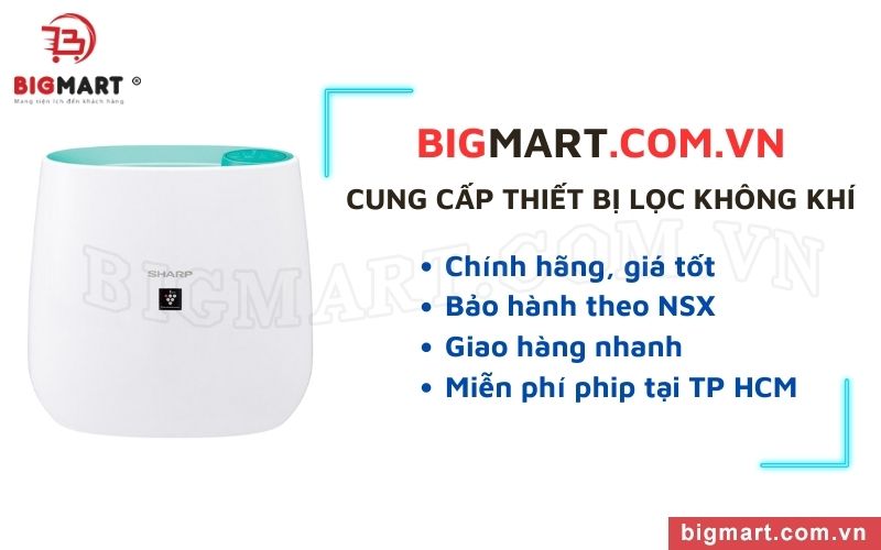 Máy lọc không khí tại Bigmart