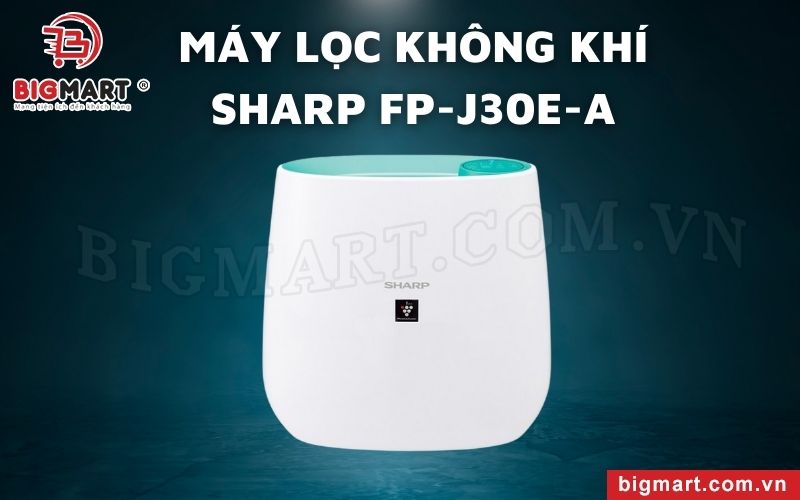 Máy lọc không khí Sharp FP-J30E-A 