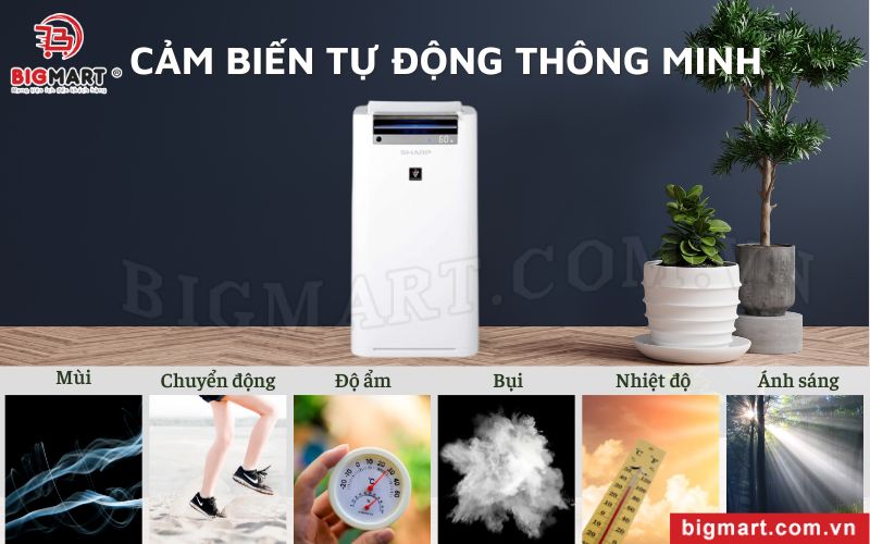 Hệ thống cảm biến