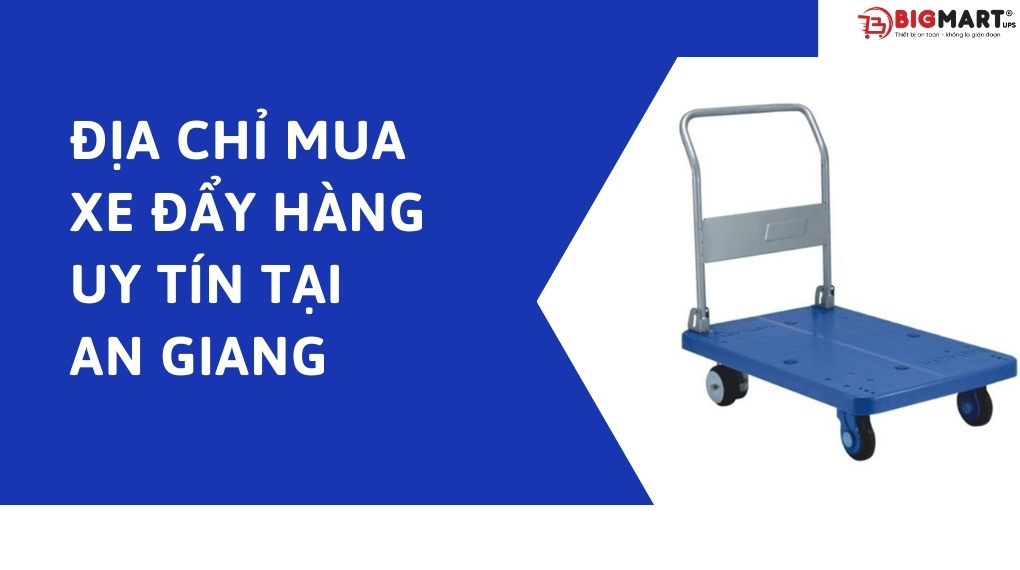 Địa chỉ mua xe đẩy hàng uy tín tại An Giang đó là Bigmart