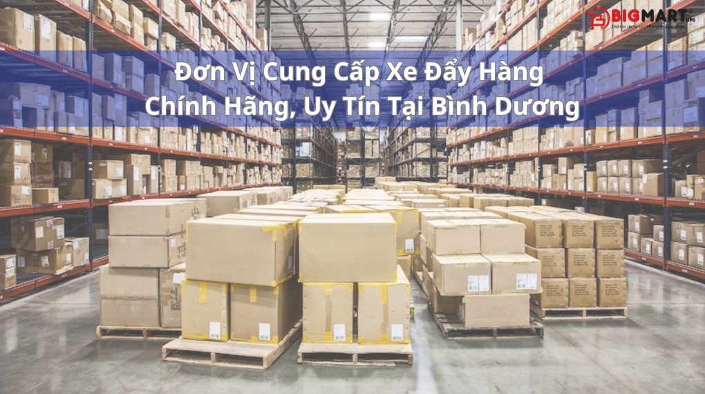 Đơn Vị Cung Cấp Xe Đẩy Hàng Chính Hãng, Uy Tín Tại Bình Dương