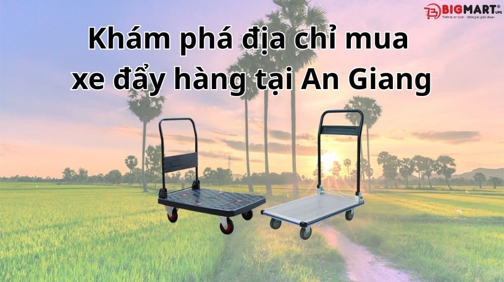 Khám phá địa chỉ mua xe đẩy hàng tại An Giang