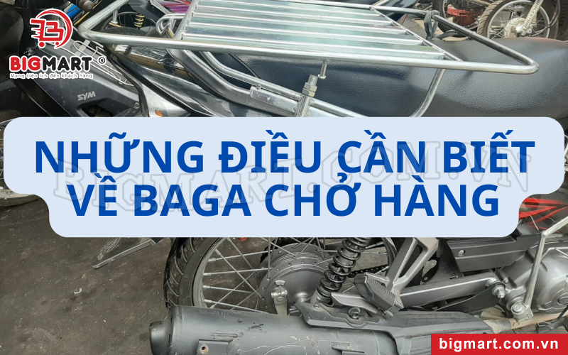 Những điều cần biết về baga chở hàng