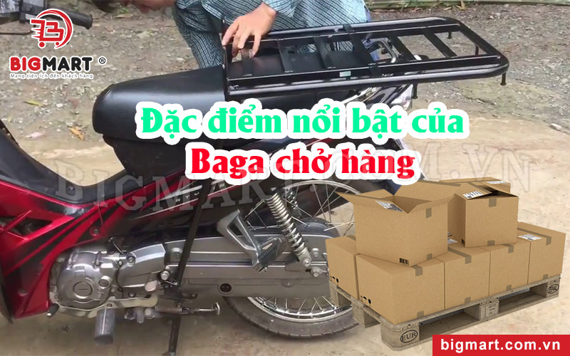 Đặc điểm nổi bật của baga chở hàng từ Bigmart