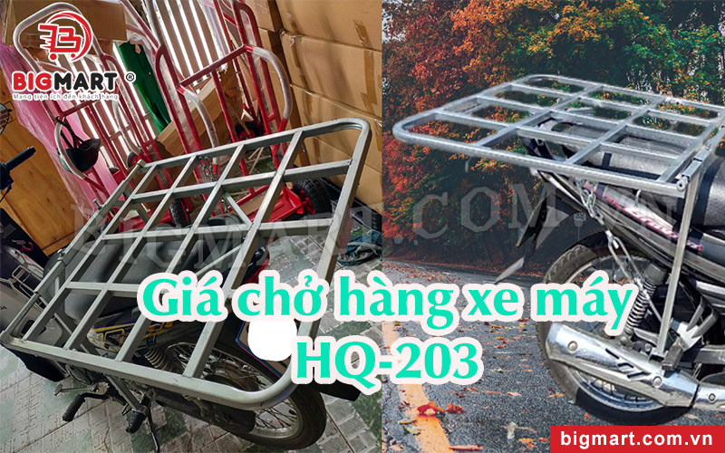 Giá chở hàng xe máy đa năng Bigmart HQ-203