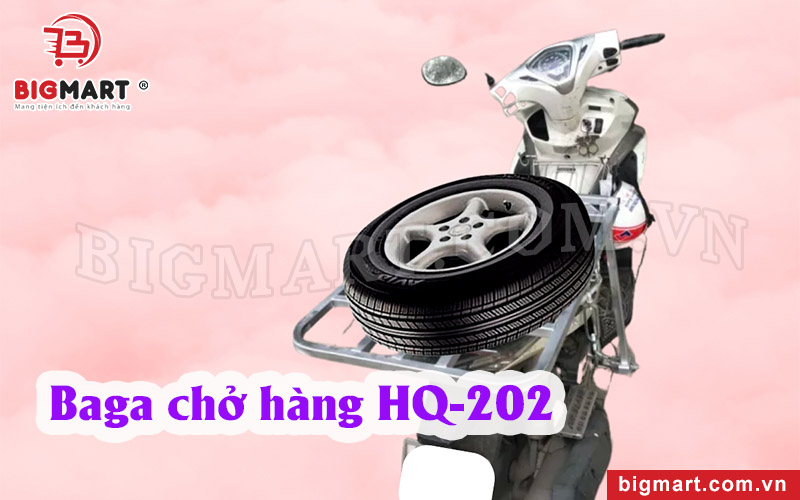 Baga chở hàng Bigmart HQ-202