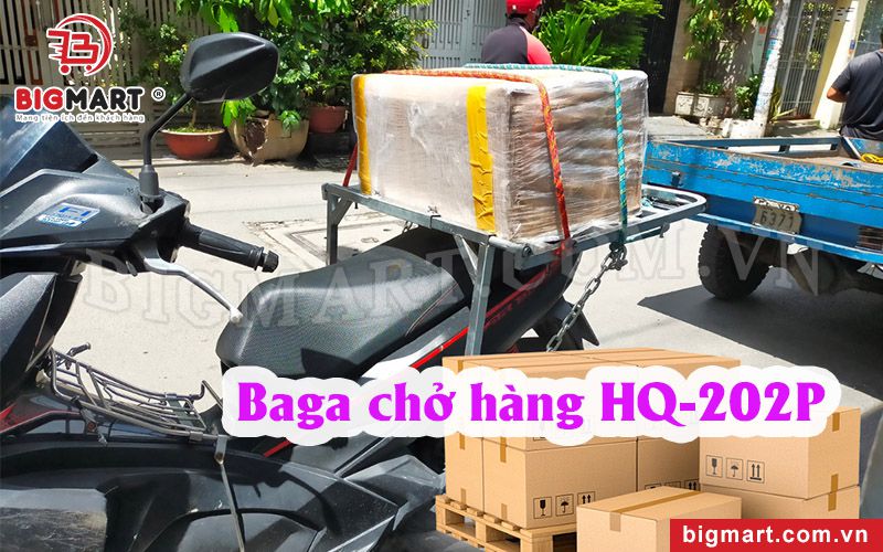 Baga chở hàng Bigmart HQ-202P